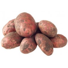 Картофель свежий весовой 1 кг - Магнит ГМ